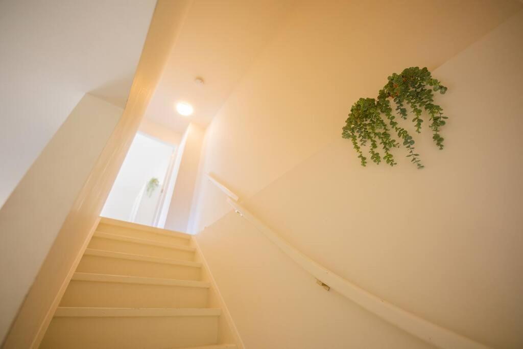 Lovely 3 Bedroom Apartment In Eindhoven 65M2 - Sd23N Екстериор снимка